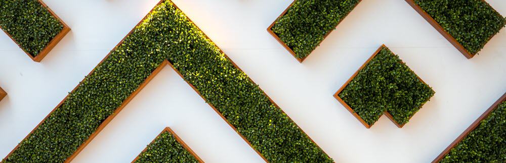 garden beds in arrows jason-leung-BUa1LDeT8PI-unsplash