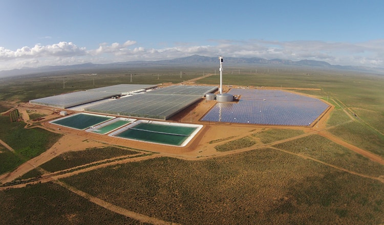 Sundrop Farms, Port Augusta SA
