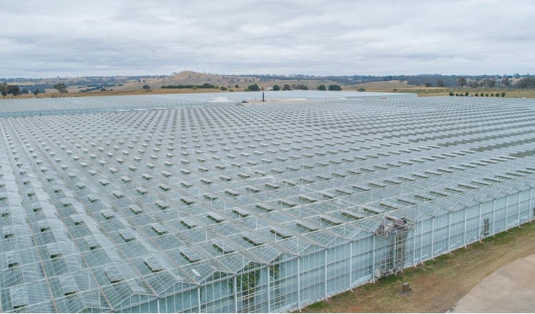 Guyra Glasshouse_750x440