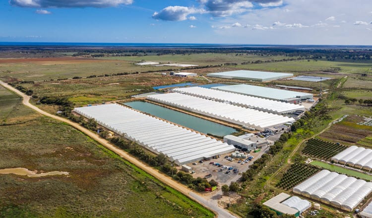 234 Carmelo Road, Riverlea Park SA_CAF_750x440