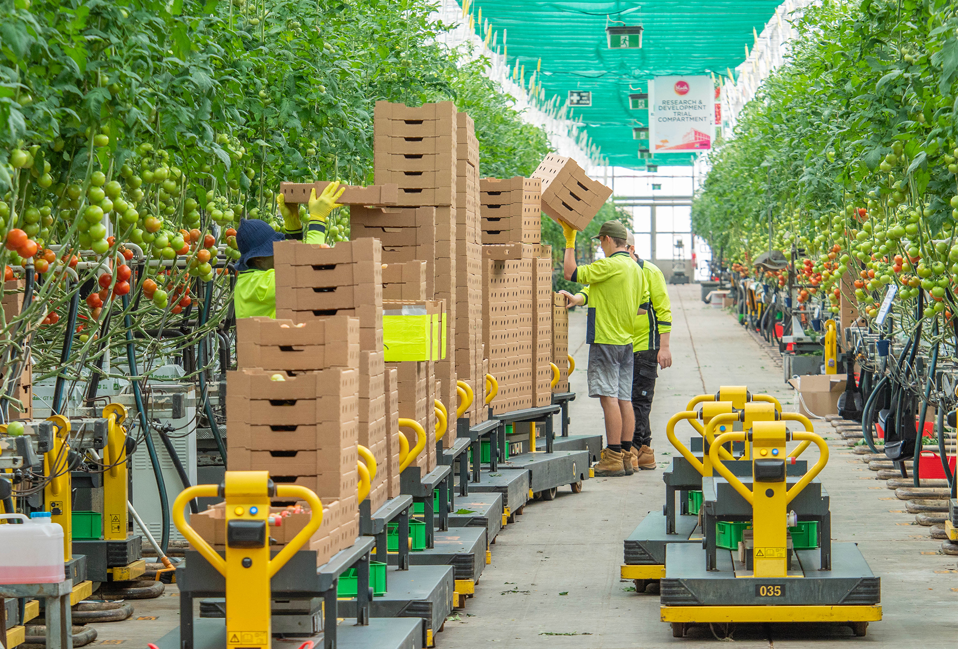 Aerial photo of a large glasshouse